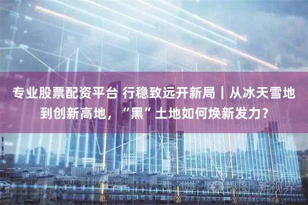 专业股票配资平台 行稳致远开新局｜从冰天雪地到创新高地，“黑”土地如何焕新发力？